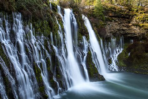 Wildlife in the park includes bass. McArthur-Burney Falls Memorial SP Image Gallery