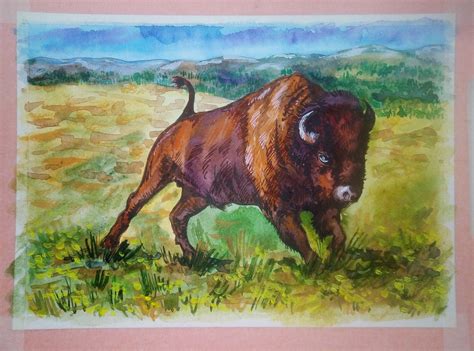 Bison Painting Watercolor Original Art Animal Wall Art Wyoming Etsy
