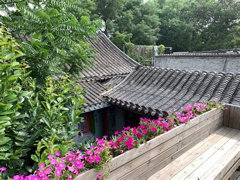Yue Xuan Courtyard Garden International Youth Hostel Prices And Reviews