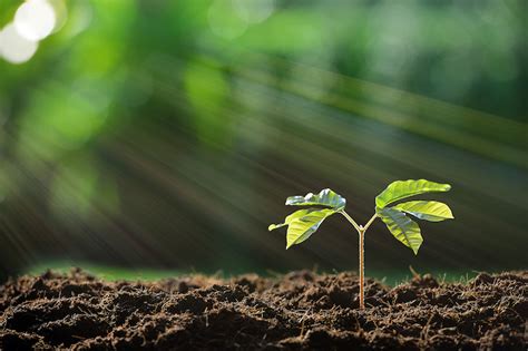 Préserver l'environnement, la faune et la flore, est une mission pour passionnés aux profils et aux fonctions divers. Eco Tree la nature a de la valeur