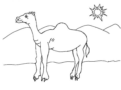 Free Printable Camel Coloring Pages For Kids  Animal Place