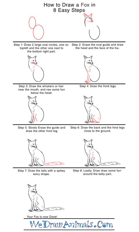 How To Draw A Realistic Fox