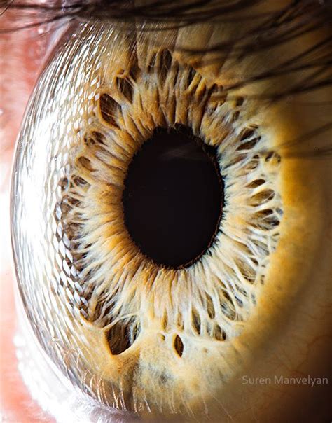 Image 25 Extreme Close Ups Of The Human Eye Eye Photography Eye