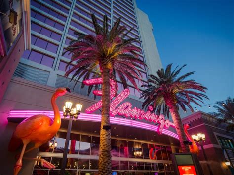 Flamingo Las Vegas Las Vegas Nv 89109