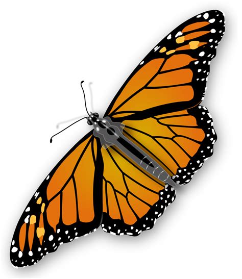 Public Domain Clip Art Image Monarch Butterfly Id 13921677617873