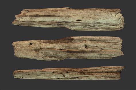 Broken Wood Plank 3d Model In Tree 3dexport