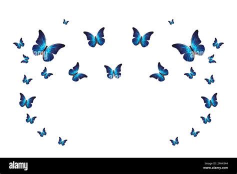 Tropical Flock Of Flying Colored Butterflies Isolated On White Blue
