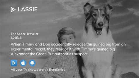 watch lassie season 6 episode 18 streaming online