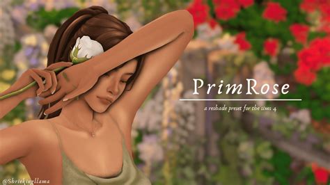 29 Gorgeous Sims 4 ReShade Presets For A More Aesthetic Game