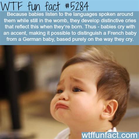 ﴾͡๏̯͡๏﴿ Its A Fact Wow Facts Wtf Fun Facts True Facts Funny Facts Random Facts Crazy Facts