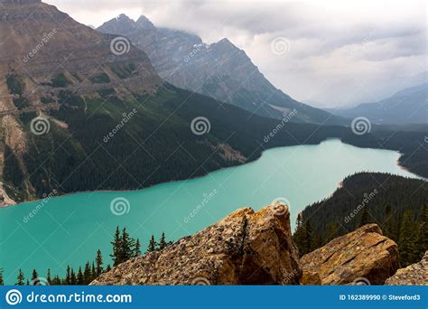 Panoramic View Of Turquoise Lake Peyto With Surrounding Mountains And