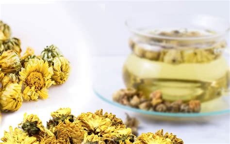 Health Benefits Of Chrysanthemum Tea