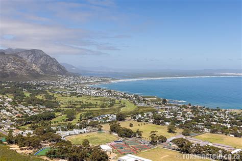 17 Things To Do In Hermanus On The Cape Whale Coast Roxanne Reid