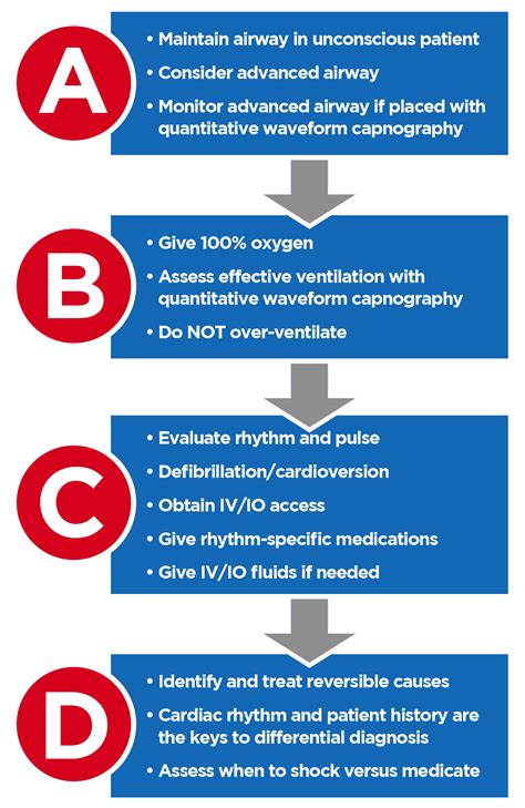Learn what causes a cardiac arrest and how cpr can help save someone's life. acls course - DriverLayer Search Engine