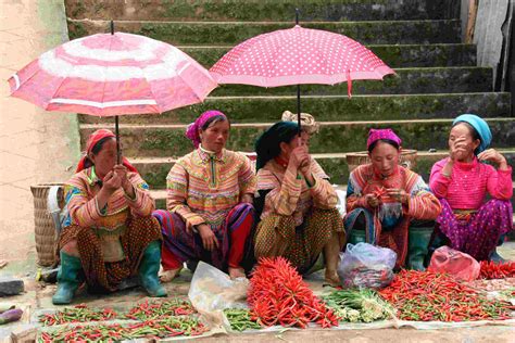vietnam-bac-ha-au-nord,-hmongs-fleurs-creative-terre