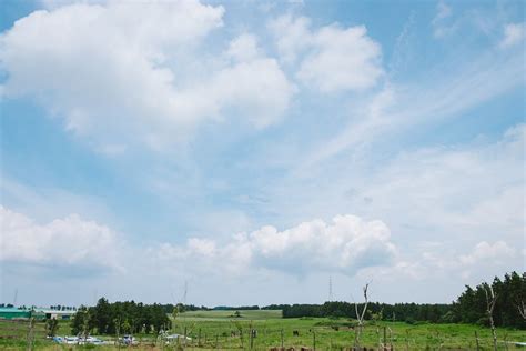 Isidore Farm Jeju 2022 Alles Wat U Moet Weten Voordat Je Gaat