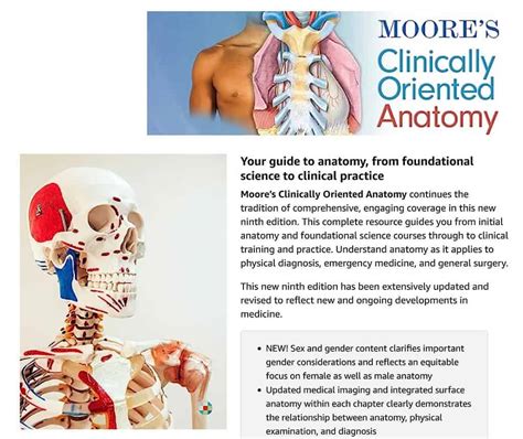 Moores Clinically Oriented Anatomy 9th Edition Ebook