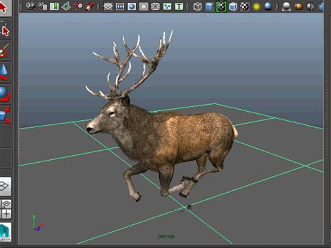 Tippelskirchi ） 保护状况 易危 （ iucn 3.1 ） 科学分类 界： 动物界 animalia 门： 脊索动物门 chordata 纲： 哺乳纲 mammalia 目： 偶蹄目 artiodactyla 科： 长颈鹿科 giraffidae 属. 雄鹿 鹿子 小鹿 公鹿麋鹿 stag梅花鹿驯鹿-哺乳-动物-CreateCG模型-CG模型网