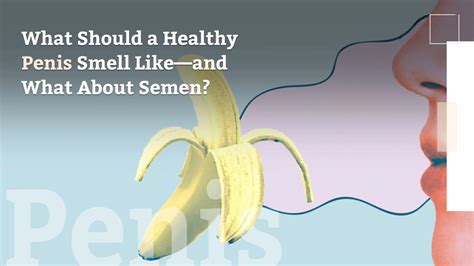 What Should A Healthy Penis Smell Like—and What About Semen Video