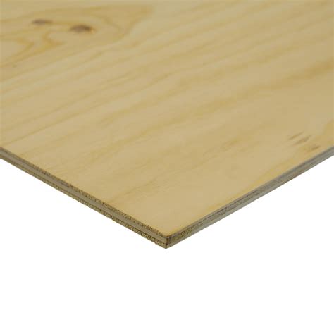 ibs mini panels 1200 x 600 x 12mm untreated cd plywood bunnings new zealand