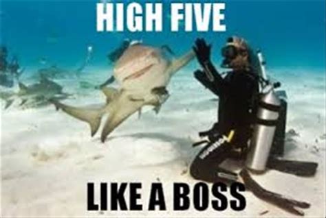 Its Friday High Five Everything 16 Pics