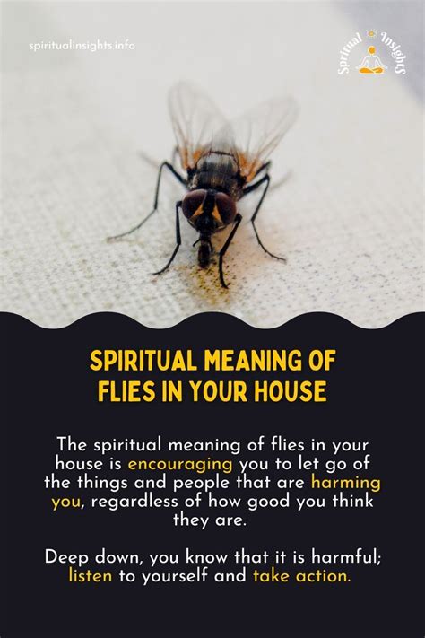 Spiritual Meaning Of Flies In Your House In 2023 Spiritual Meaning