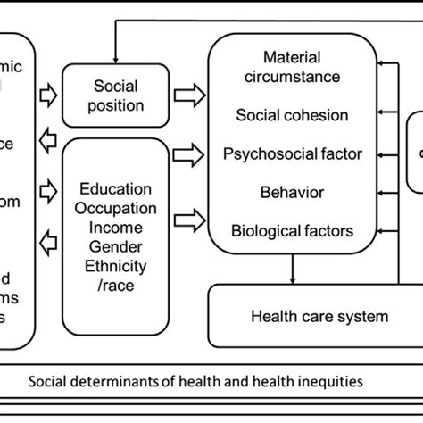 Social Determinants Of Health Framework From Who Book 8 Download