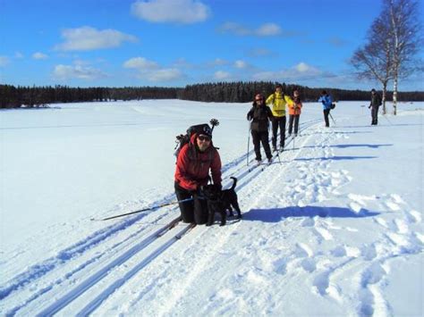 Cross Country Skiing Vacation In Finland Responsible Travel