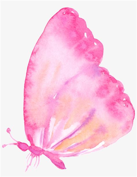 Pink Butterfly Cartoon Transparent Rosa Borboleta Fundo Transparente