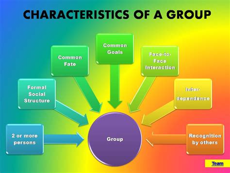 Concept Of Group Dynamic