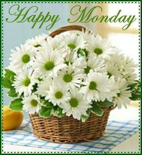 Good morning images of flowers 1. Happy Monday monday good morning monday quotes happy ...