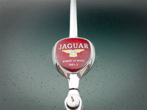 Jaguar Car Emblem Editorial Stock Photo Image Of Metallic 249246328