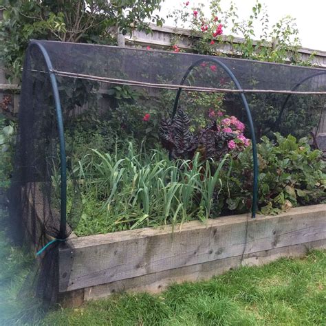 What kind of butterfly is this? Soft Mesh Butterfly Netting - Harrod Horticultural (UK)