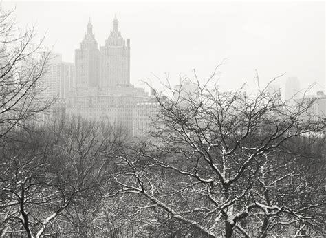 New York City Photography Vivienne Gucwa New York City Weather New
