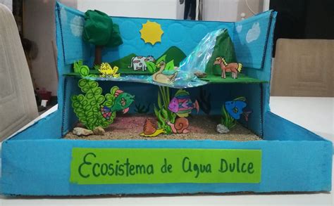 Maqueta De Ecosistema De Agua Dulce Bioma Modelos De Vestidos