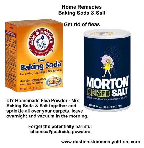 Borax And Baking Soda For Fleas Pest Phobia