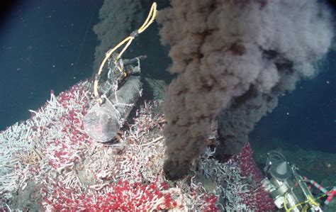 Deep Hydrothermal Vent Oceana