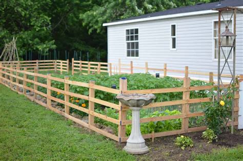 Best Gardening Tips To Create A Beautiful Vegetable Garden Design