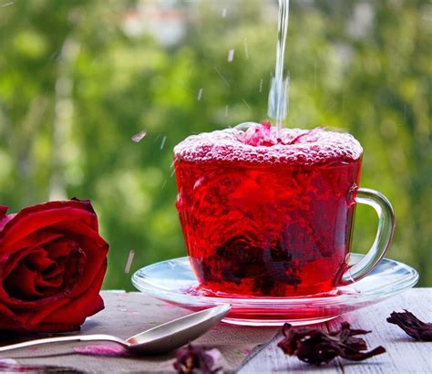 descubre los beneficios del té de hibisco para la salud cardiovascular