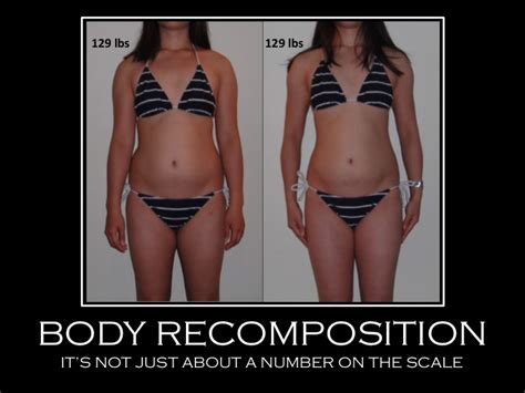 The Journey Day 161 Body Recomposition Picture Week 23 Stats