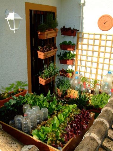 Are you thinking about growing some produce. Small Space Gardening - 20 Clever Ideas to Grow in a ...