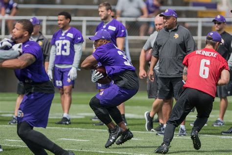 Nfl Duluthian Ham Appears Headed For Larger Role With Vikings Duluth News Tribune News