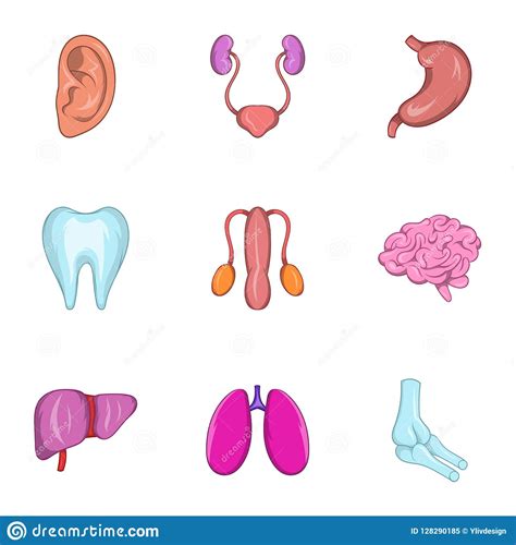 Find the perfect internal organs stock. Internal Organs Icons Set, Cartoon Style Stock ...