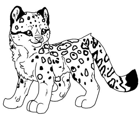 Cute baby panther leopard for kids coloring pages printable. Baby Snow Leopard Coloring Pages Batch Coloring | Baby ...