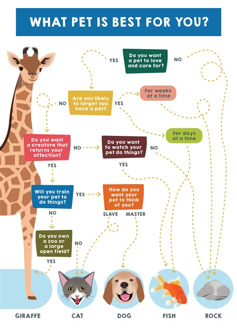 What Pet Is Best For You Pets Best Infographic