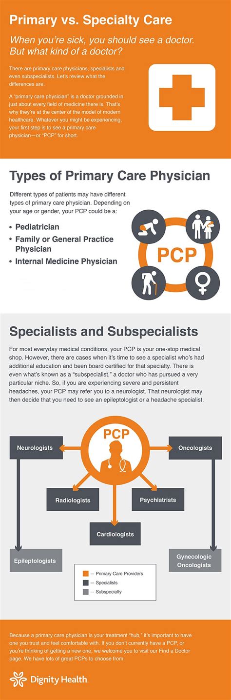 Primary Care Vs Specialty Care Physicians