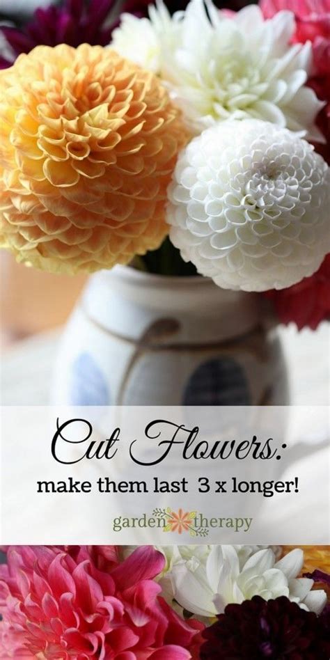 How To Make Cut Flowers Last Easy Tips And Tricks That Work Cut
