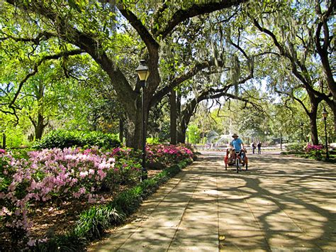Some right reserved, and if the copyright of photo in this site is belongs to you. Savannah, Georgia in the spring | Spring! | Pinterest ...