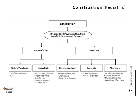 Pediatric Constipation Differential Diagnosis Algorithm Dietaryfunctional Grepmed