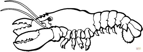 Lobster Coloring Page Free Printable Coloring Pages